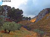 PARAJE "EL PORTILLO" Y VIA INTERNACIONAL DE SENDERISMO GR-7 - . 