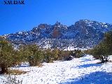 PARAJE DEL PILAR DE LA DEHESA Y SIERRA DE MIRAMONTES - . 